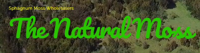 www.thenaturalmoss.com